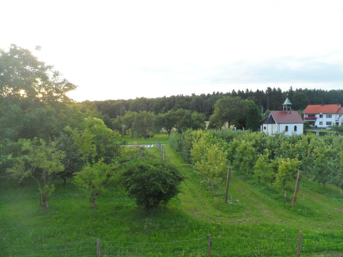 Pension Am Kirschgarten 괴스바인슈타인 외부 사진